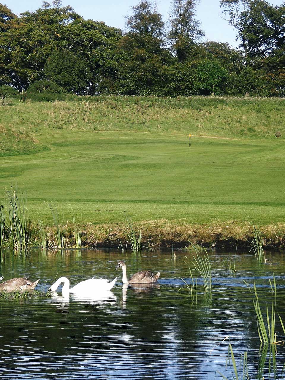 Hadrians 4th hole at Eden Golf Club